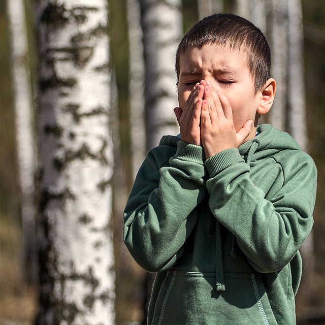 Почему аллергикам лучше гулять вечером? Как пережить период цветения: советы детского врача