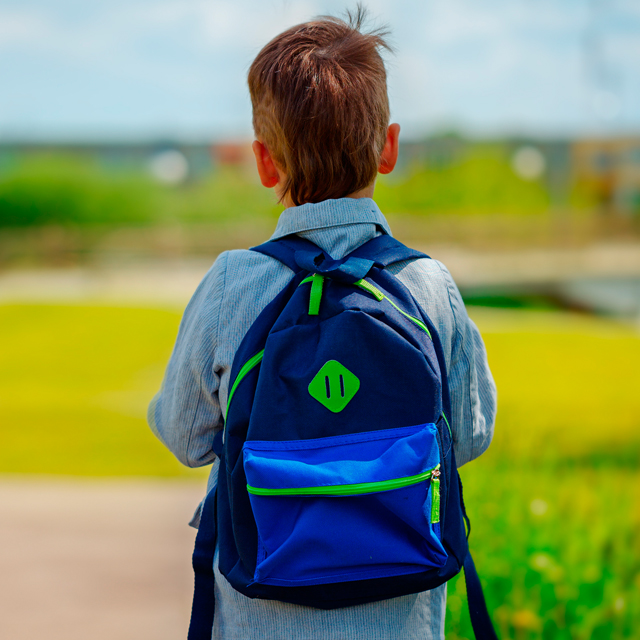 Как правильно организовать рабочий день школьника