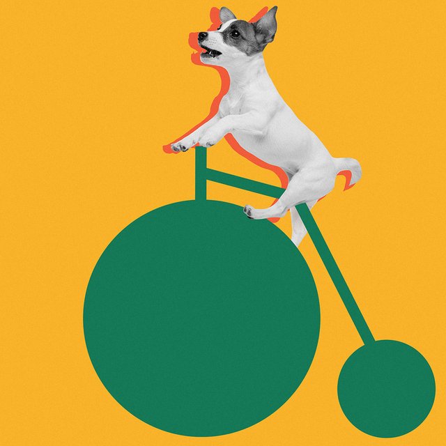 «Как ни крути» или «как не крути»: как писать правильно