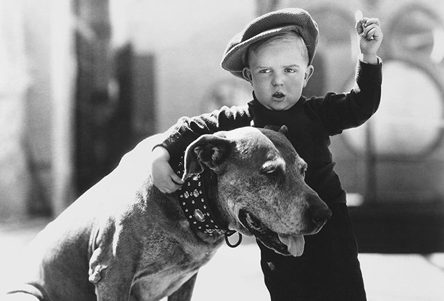 Что делать, если ребёнок очень хочет собаку, а родители против?