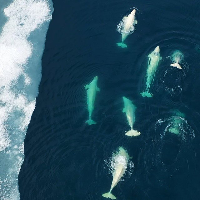 Фестиваль детективов и китайский Новый год: 22 события февраля для детей и взрослых