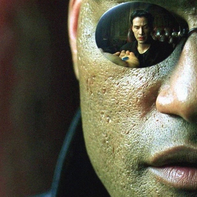 7 отличных тестов "Мела" на выходные: узнайте, как ставить ударения или лечить детей