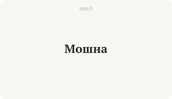 Мошна