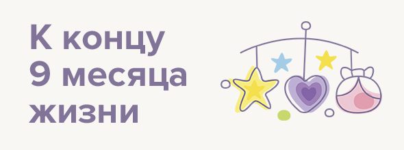 К концу 9 месяца жизни
