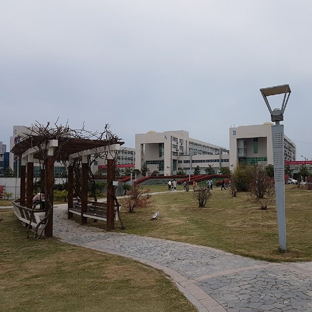 12 часов в неделю, высокая зарплата и уважение: как русская учительница работает в Китае